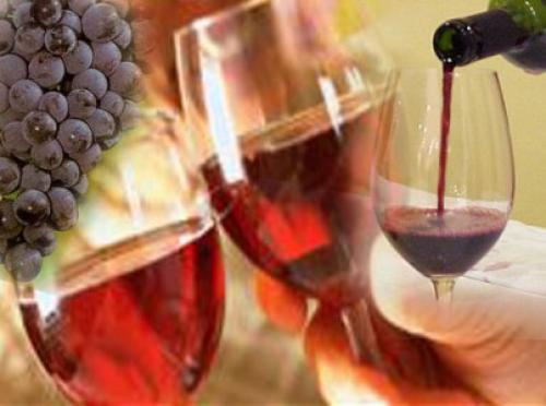 MEDinWINE: ecco le cantine che parteciperanno