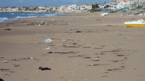 PLASTICA IN MARE