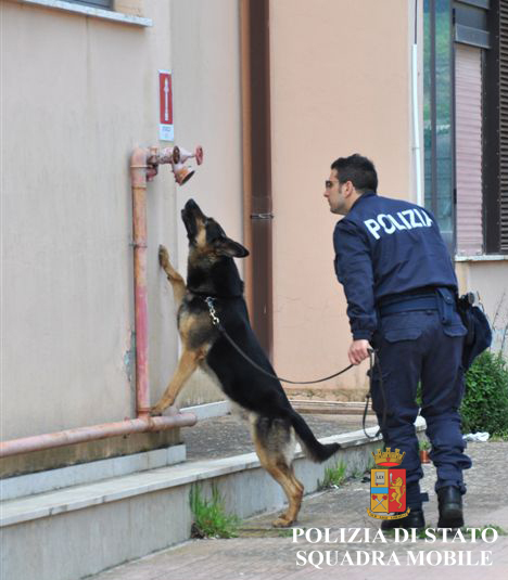 LA POLIZIA DI STATO HA EFFETTUATO CONTROLLI ANTIDROGA PRESSO GLI ISTITUTI SCOLASTICI DI RAGUSA CON L’AUSILIO DELLE UNITÀ CINOFILE