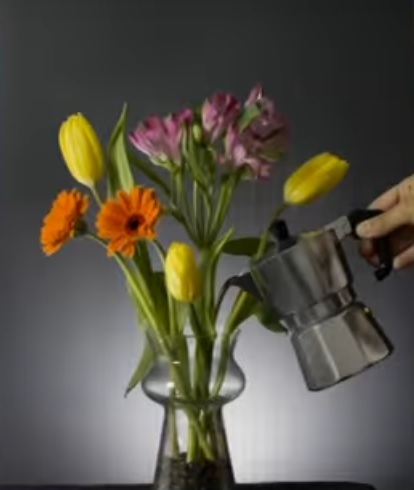 SUCCESSO A MODICA PER IL CONCORSO “CAFFE’ E FIORI” PROMOSSO DAL BATIOCA