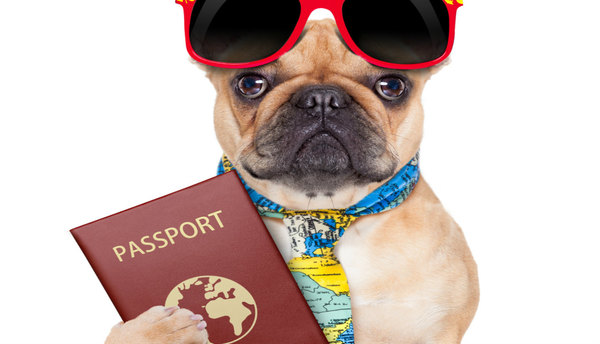 NOVITA’ PER IL PASSAPORTO DEI NOSTRI PICCOLI AMICI