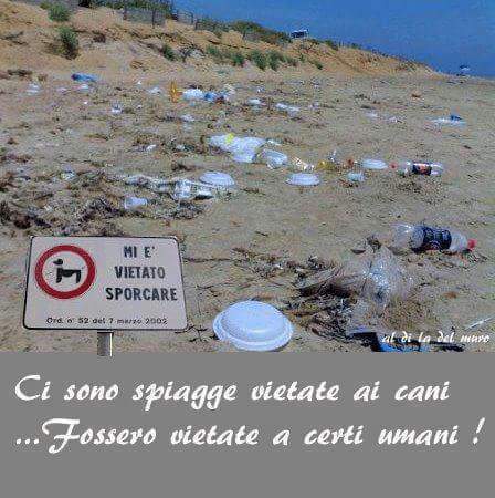 DEMANIO MARITTIMO – ACCESSO, TRANSITO, SOSTA E BAGNO A MARE DEGLI ANIMALI DI AFFEZIONE