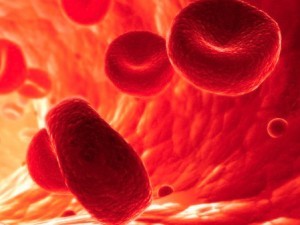 SECONDA PUNTATA DI “FATTORE BENESSERE”, PER SCOPRIRE IL MONDO DELL’EMATOLOGIA