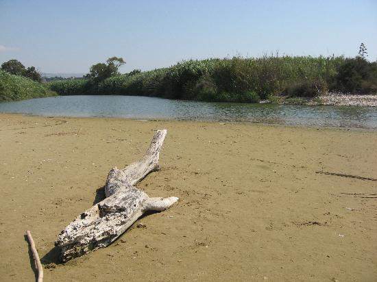 RIPASCIMENTO DELLA SPIAGGIA DALLA  FOCE  DEL  FIUME IRMINIO A TIMPEROSSE