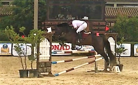 OTTIMI RISULTATI AL TROFEO SICILIA GOLD PER LA SOCIETA’ IPPICA RAGUSANA