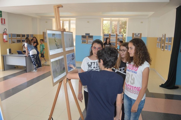 MOSTRA “ALI DEL GOLFO DI POZZALLO”