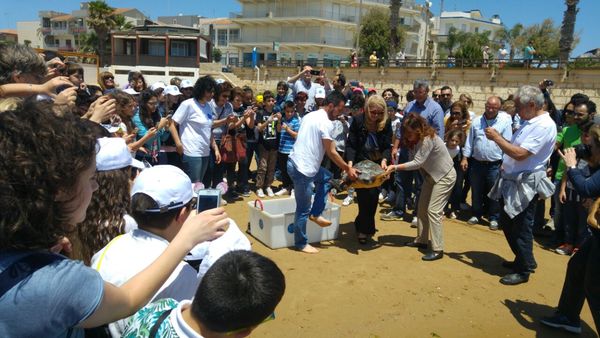 SABATO SCORSO A MARINA DI RAGUSA L’EMOZIONANTE MOMENTO DELLA LIBERAZIONE DI UNA TARTARUGA CARETTA CARETTA