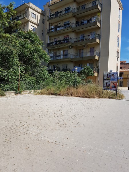CITTA’ ALLE PRESE CON LE STERPAGLIE NEI PUNTI PIU’ SENSIBILI