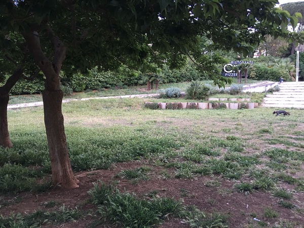 PEGGIORANO SEMPRE DI PIU’ LE CONDIZIONI DEL PARCO GIOVANNI PAOLO II A RAGUSA