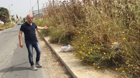 LA CITTA’ E’ PIENA DI ERBACCE E INSETTI !!