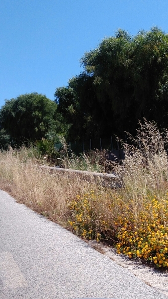 LA PISTA CICLABILE DI SAMPIERI  ABBANDONATA