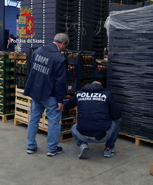 LA POLIZIA DI STATO EFFETTUA CONTROLLI PRESSO AZIENDE PER LA COMMERCIALIZZAZIONE DI PRODOTTI ORTOFRUTTICOLI