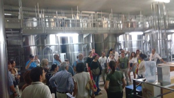 CANTINE APERTE:  “VAL DI NOTO WINE TOUR”