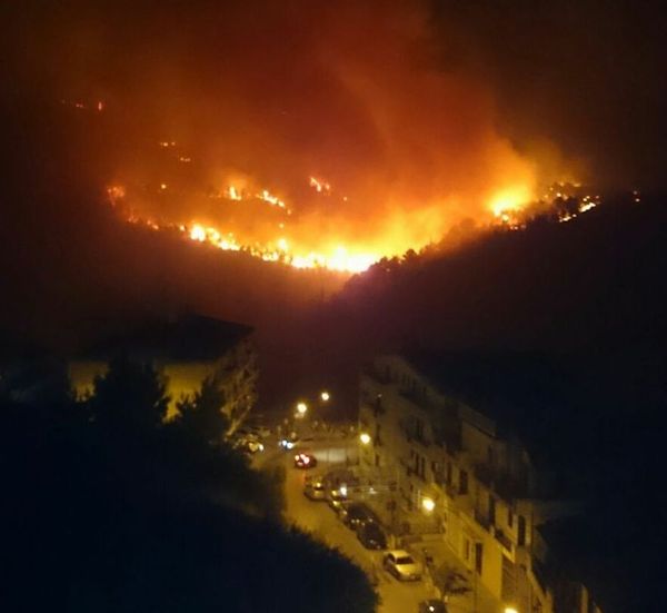 La lunga notte di Chiaramonte Gulfi. Le fiamme avanzano, evacuati gli anziani, Incendio pineta con danni ingenti