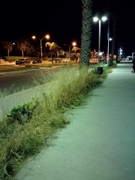 Le zone a verde attrezzato di Marina di Ragusa sono tutte piene di sterpaglie