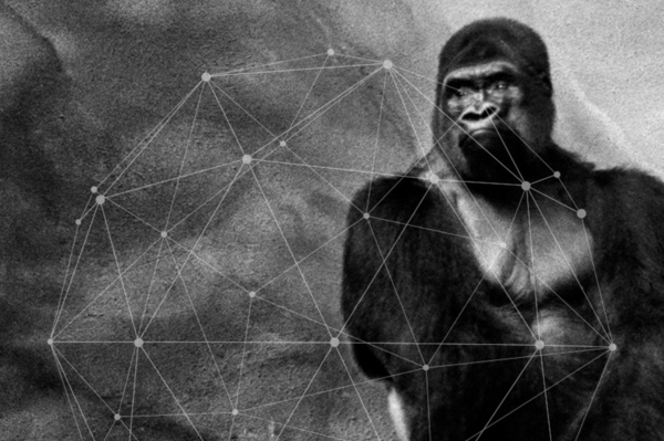 Inizia oggi il Ragusa Foto Festival dedicato alla metamorfosi del territorio