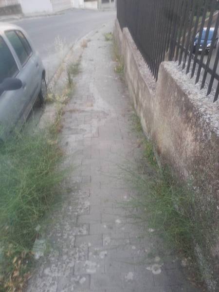 Erbacce sui marciapiedi di via Caronia a Ragusa