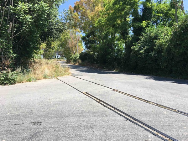 IN VIA DELLE MINIERE LE ERBACCE CRESCONO SENZA RITEGNO