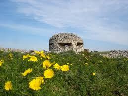 Domenica 9 luglio una cerimonia nel “luoghi della memoria” sulla S.P. 25 al Villaggio Camemi