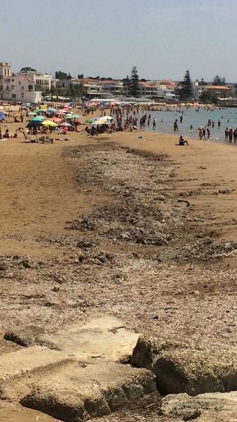 Spiaggia della “Mancina” piena di alghe: preclusa alla balneazione