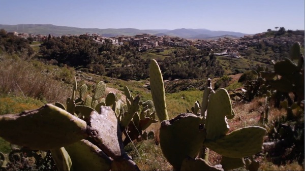 Gal Terra Barocca e Gal Natiblei: oltre 5 milioni in arrivo  in provincia di Ragusa per lo sviluppo rurale