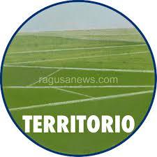 Vertenza Ipercoop, parla il Movimento Territorio