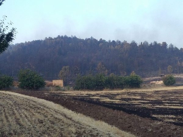 Chiaramonte Gulfi: c’era una volta la Pineta