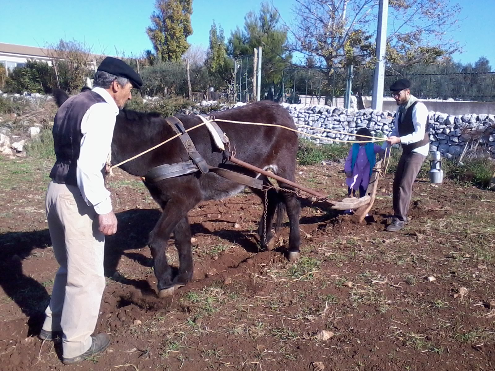 Le antiche tradizioni contadine. Un successo