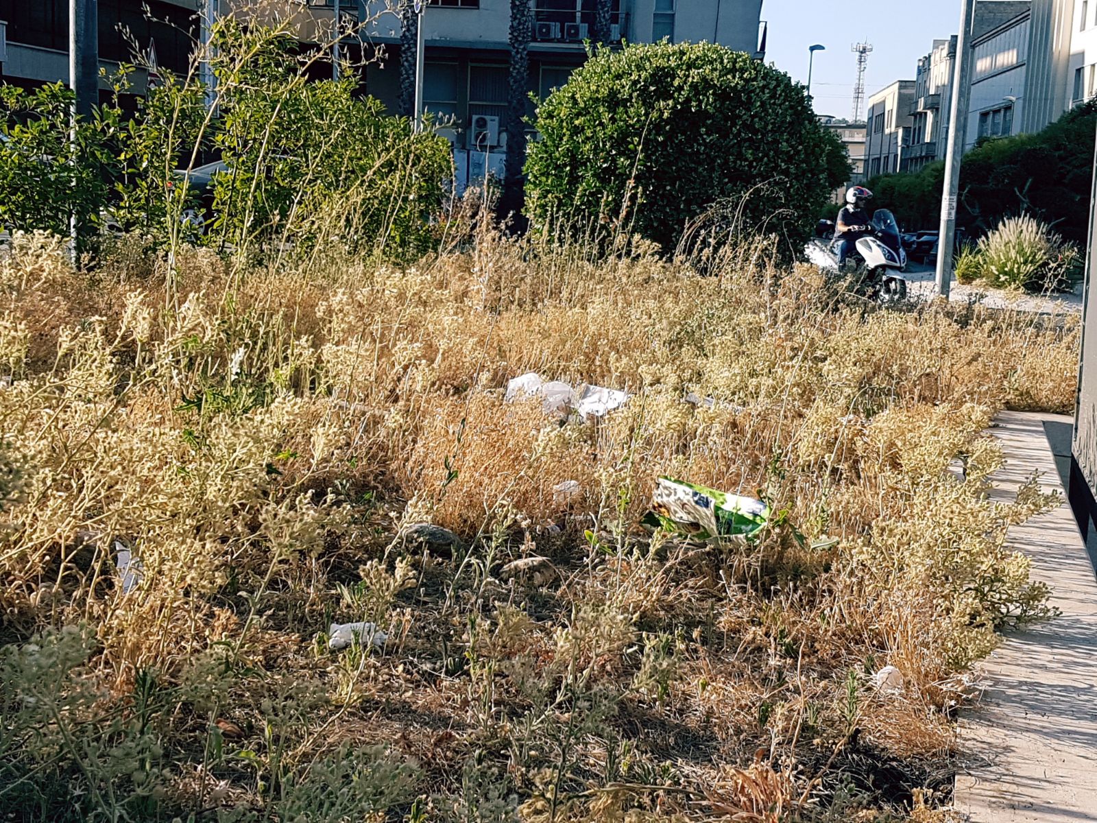 “Campagna” del Popolo, fu piazza! Sterpaglie anche in pieno centro storico.
