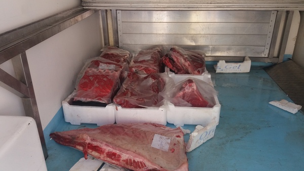 Controlli sulla filiera della pesca della Guardia costiera di Pozzallo