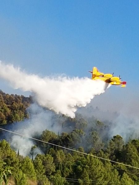 In cerca del piromane. Intanto nuovamente fiamme nel bosco di Chiaramonte Gulfi