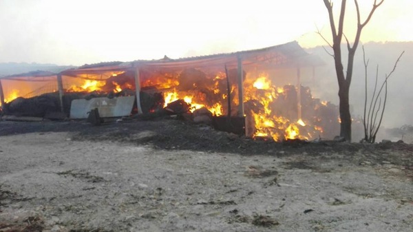 Incendi, la Coldiretti: “Danni ingenti, un patrimonio devastato dal fuoco”
