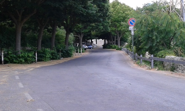 Diserbo potatura e decoro urbano