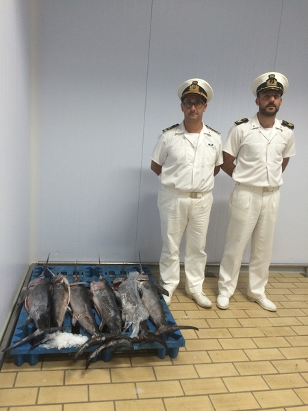 Continuano senza sosta i controlli sulla filiera della pesca della Guardia costiera di Pozzallo