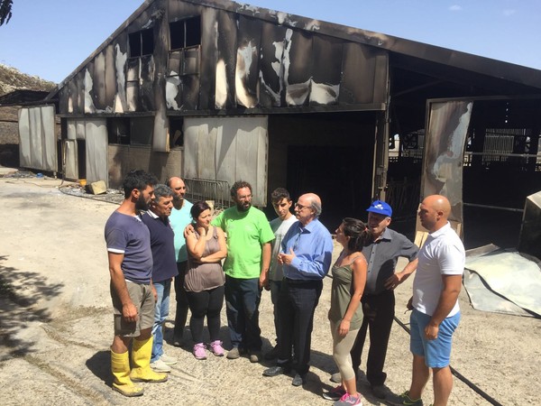 Il sindaco Gurrieri fa sopralluogo nelle aziende bruciate. Intanto in parte della pineta torna il fuoco e dalla Regione si ipotizza un ‘piano Marshall’ contro gli incendi