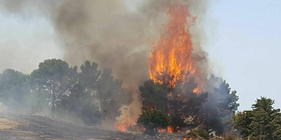 Nino Minardo sugli incendi: “Crocetta incapace”