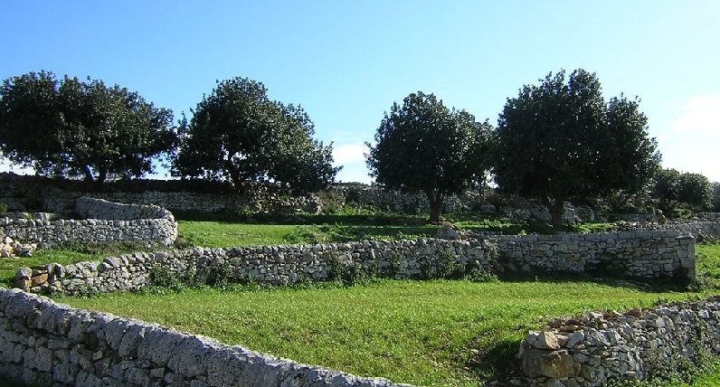 Nuova perimetrazione Parco degli iblei