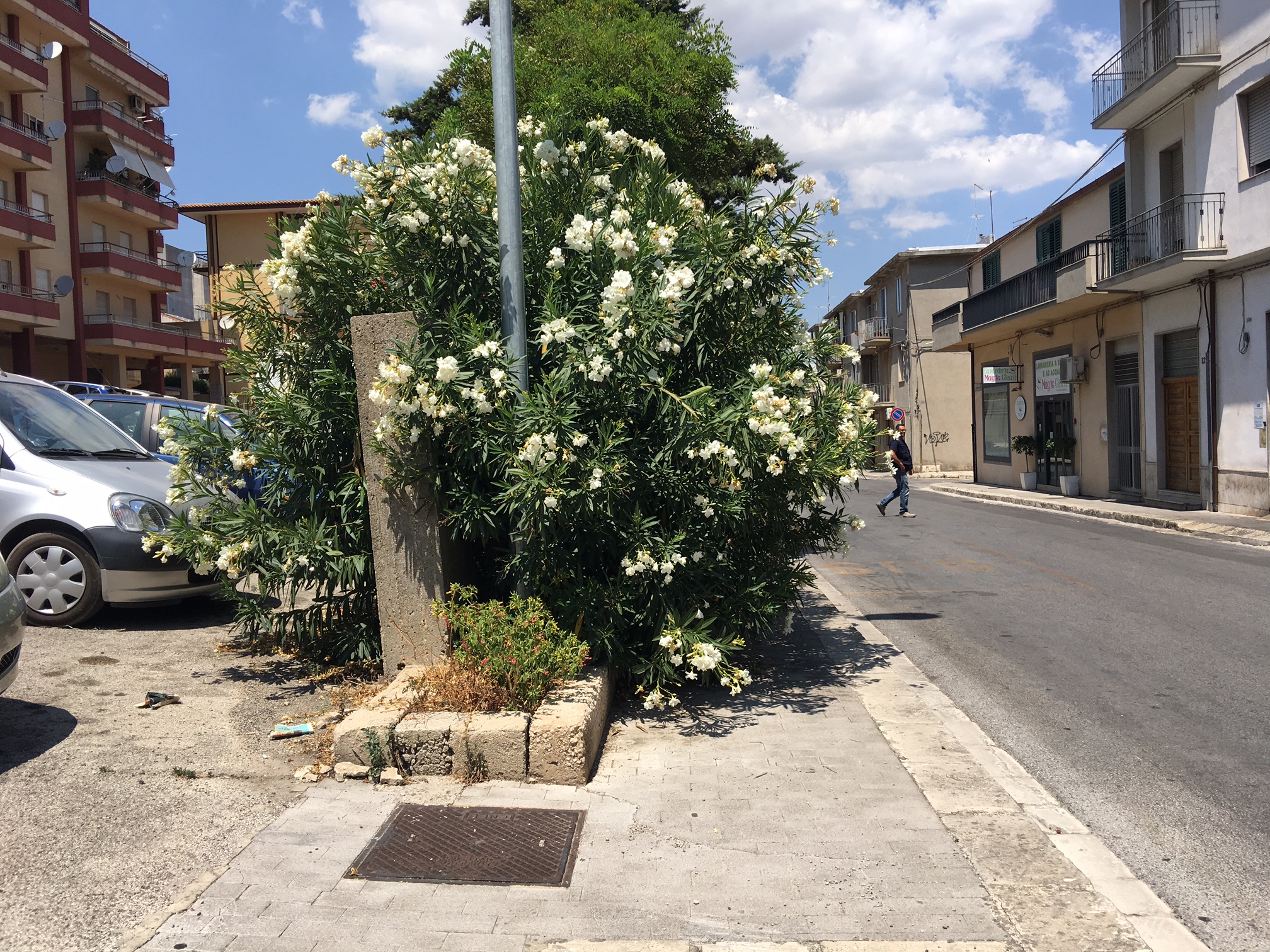 Marciapiedi invasi da sterpaglie a Ragusa