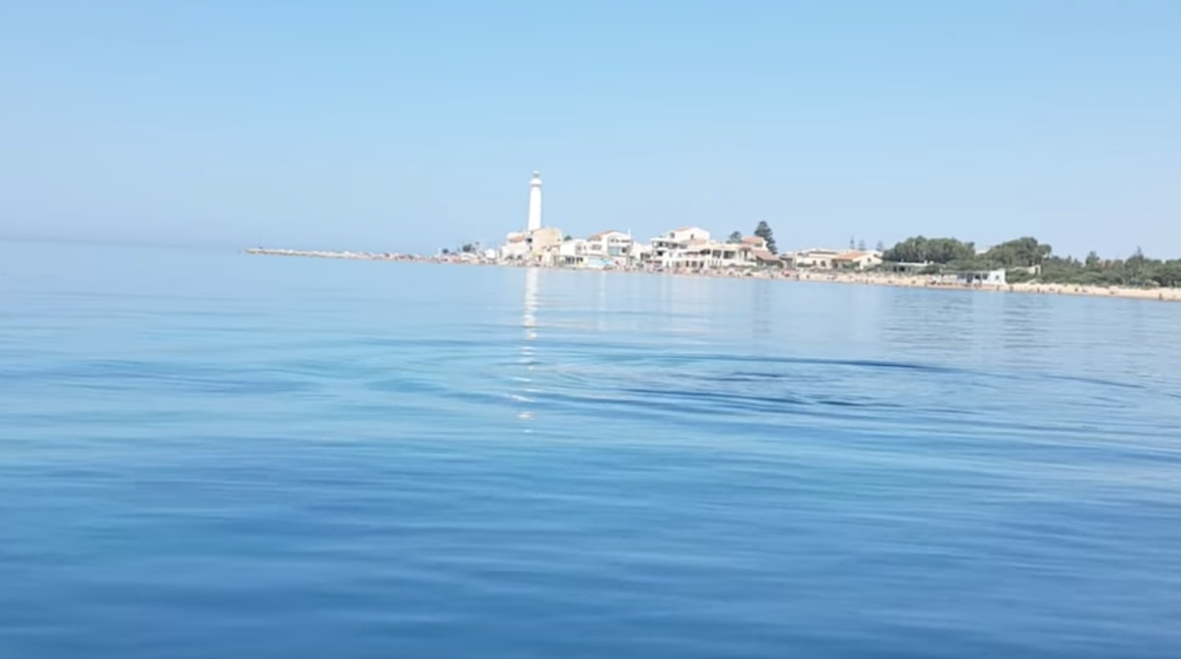Che meraviglia! Avvistamento di delfini nel mare di Montalbano VIDEO