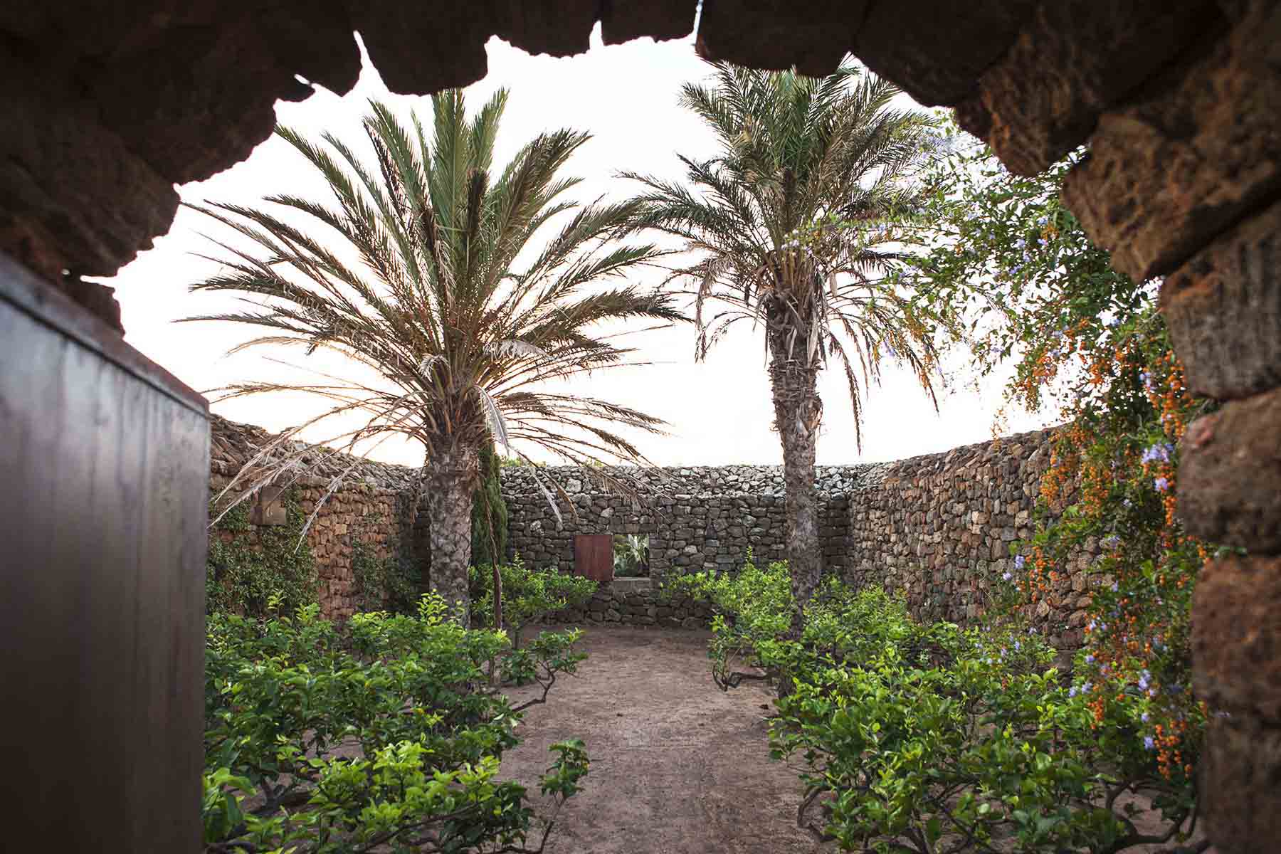 I vini Pellegrino “scoprono” il più grande giardino di Pantelleria