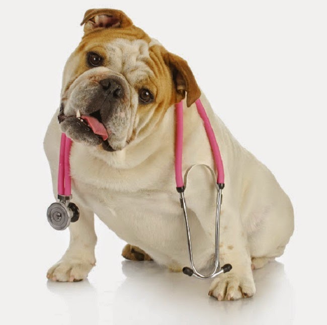 MI FIDO | Ancora un ambulatorio abusivo, stavolta a due passi da noi