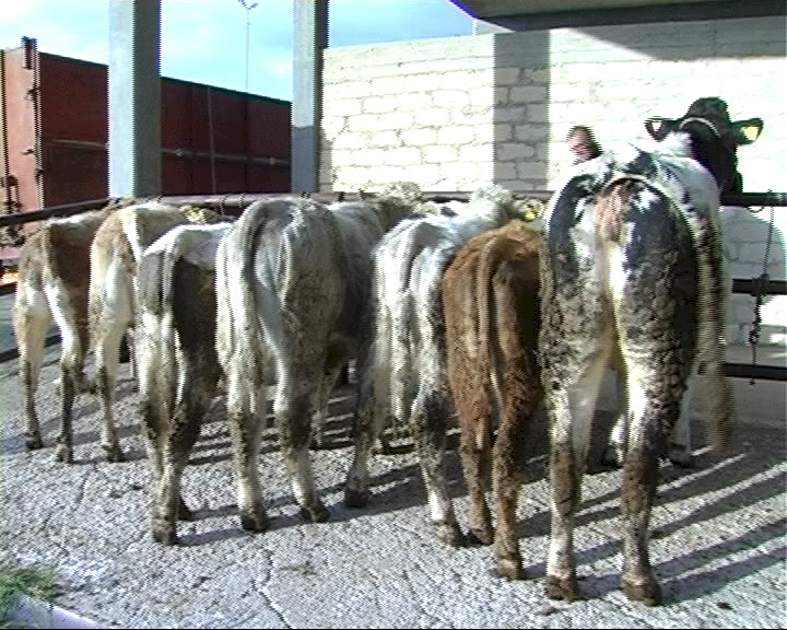 Insediamenti produttivi a Modica in linea col piano Paesaggistico.