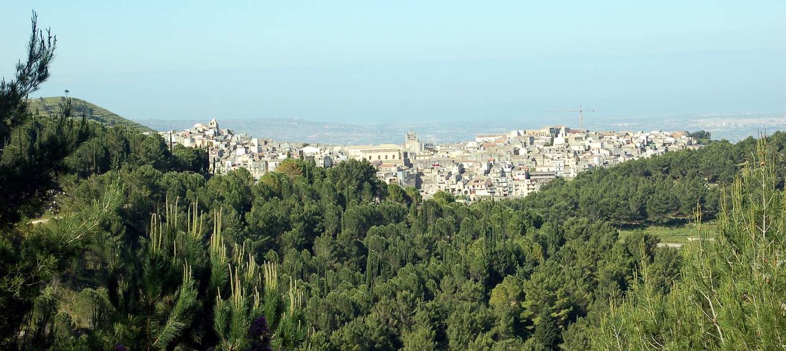 Il bosco di Arcibessi a Chiaramonte sarà ripiantumato con la compensazione della Ragusa – Catania. Lo comunica l’on. Nello Dipasquale