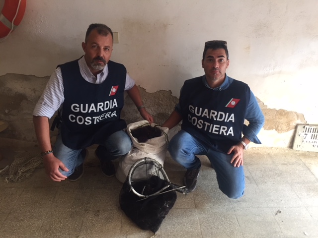 Sequestrati 600 ricci di mare dalla Capitaneria di Porto di Pozzallo