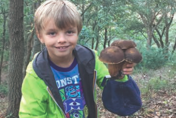Alfredo il ragazzino che scrive il manuale per piccoli cercatori di funghi. Ecco la sua storia