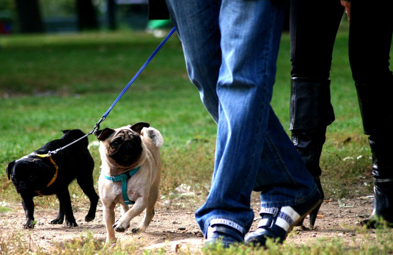 Modica “dog friendly” con due nuove aree in via Sacro Cuore