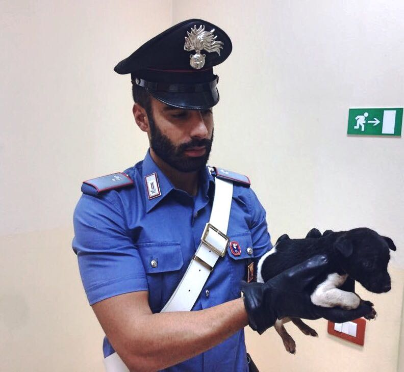 Cucciolo salvato dai Carabinieri. Un soccorso pieno di emozioni