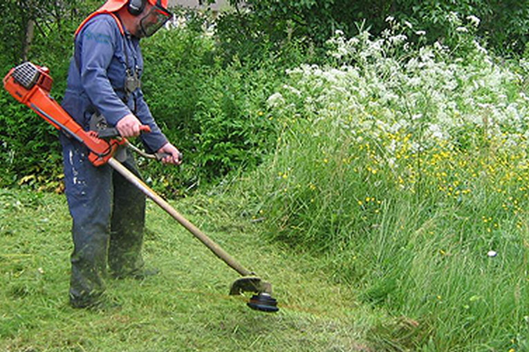 – Sfalci e potature di aree a verde saranno conferiti a Grammichele. Nuovo appalto per raccolta farmaci e batterie esaurite