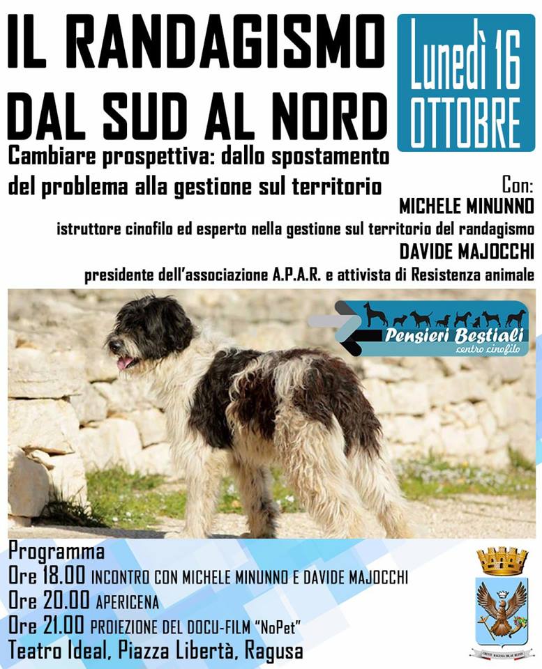 Randagismo, il 16 ottobre convegno a Ragusa con due esperti per cambiare prospettiva