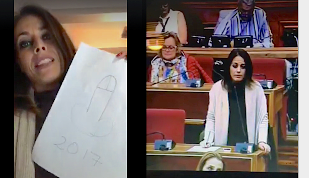 La consigliera Nicita “scatenata” sul web. Usa disegni fallici per contestare l’operato dell’Amministrazione grillina. 200 condivisioni e centinaia di insulti. VIDEO